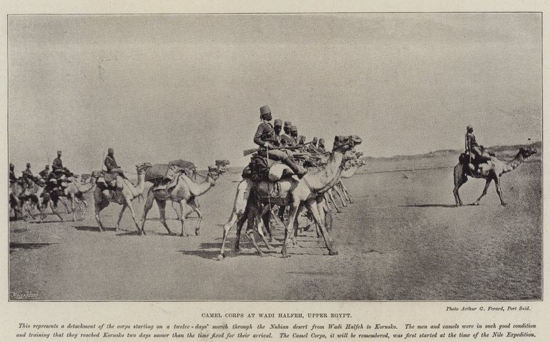 Cuerpo de camellos en Wadi Halfeh, Alto Egipto de English Photographer