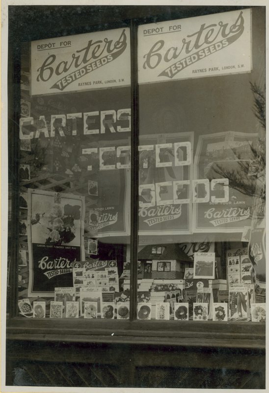 Exhibición de semillas probadas de Carters de English Photographer