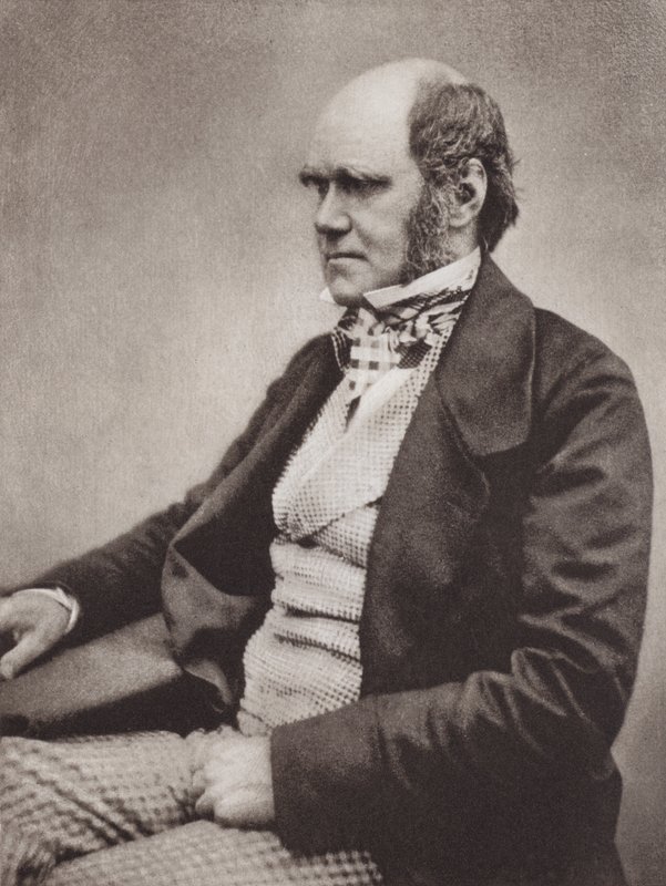 Charles Darwin, retrato, c 1854, a partir de una fotografía de Maull  Fox (foto b/n) de English Photographer