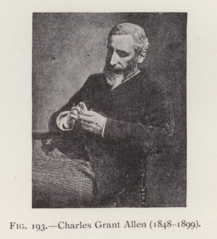 Charles Grant Allen (1848-1899), retrato de English Photographer