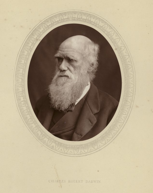 Charles Robert Darwin de English Photographer