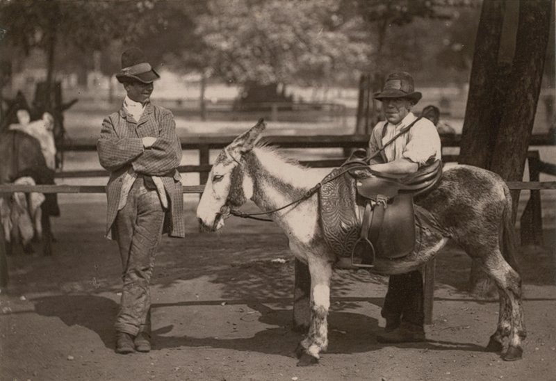 Paseos en burro en Clapham Common de English Photographer