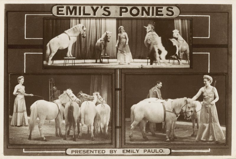Emily Paulo y sus ponis entrenados actuando de English Photographer