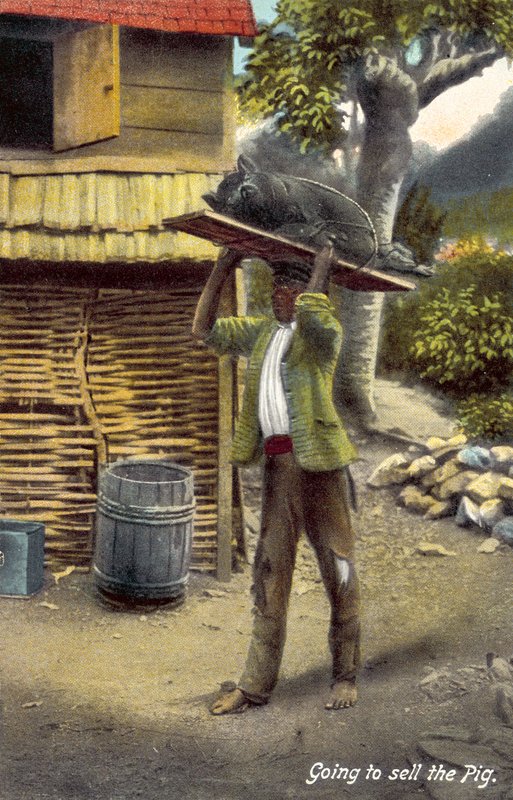 Ir a vender el cerdo, Jamaica (foto en color) de English Photographer