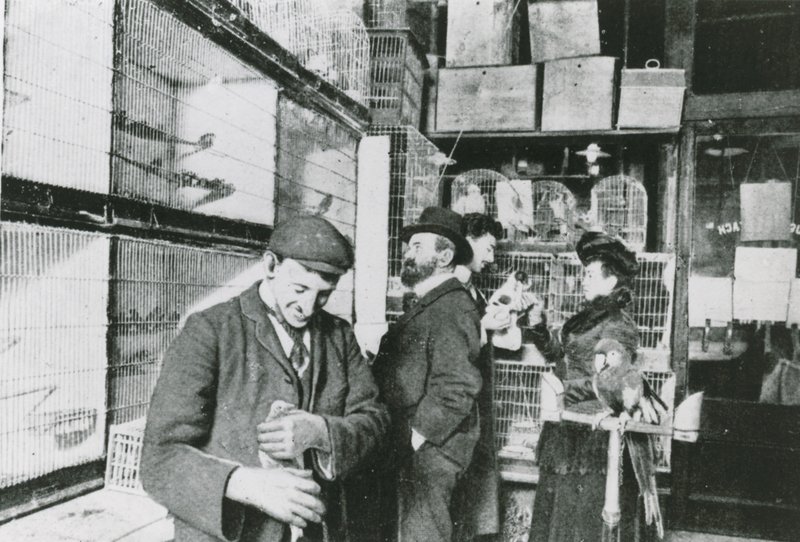 Tienda de mascotas en Great Portland Street de English Photographer