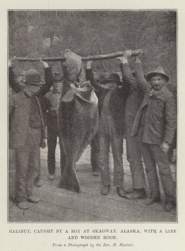 Halibut, capturado por un niño en Skagway, Alaska, con una línea y un anzuelo de madera de English Photographer