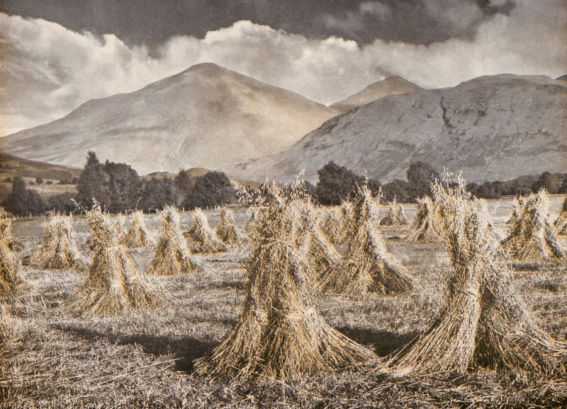 Cosecha en Strathfillan por debajo de Ben More y Stobinian (foto coloreada) de English Photographer