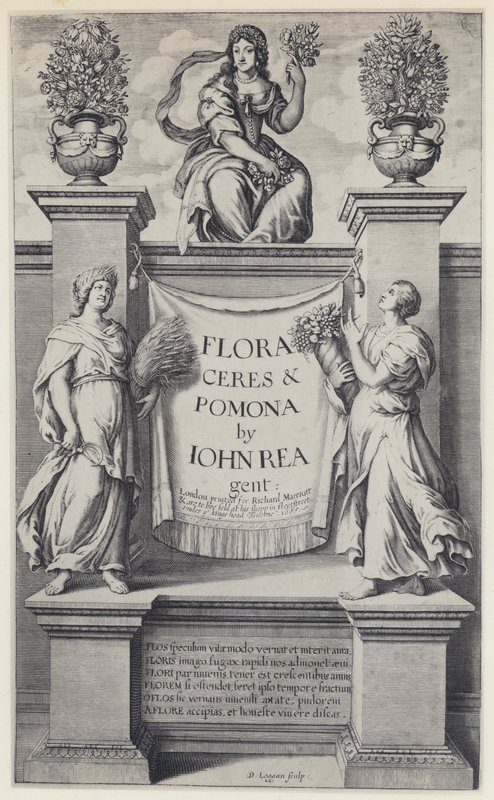 J Rea, Flora, Ceres y Pomona, R Marriott 1665 de English Photographer
