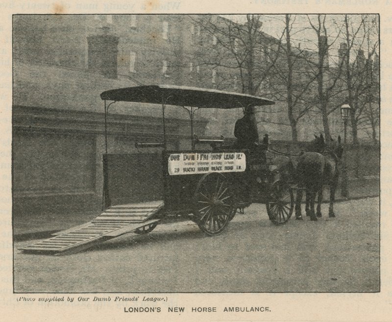 Nueva ambulancia de caballos de Londres de English Photographer