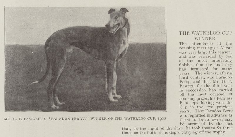 El Farndon Ferry de Mr G F Fawcett, Ganador de la Copa Waterloo, 1902 de English Photographer
