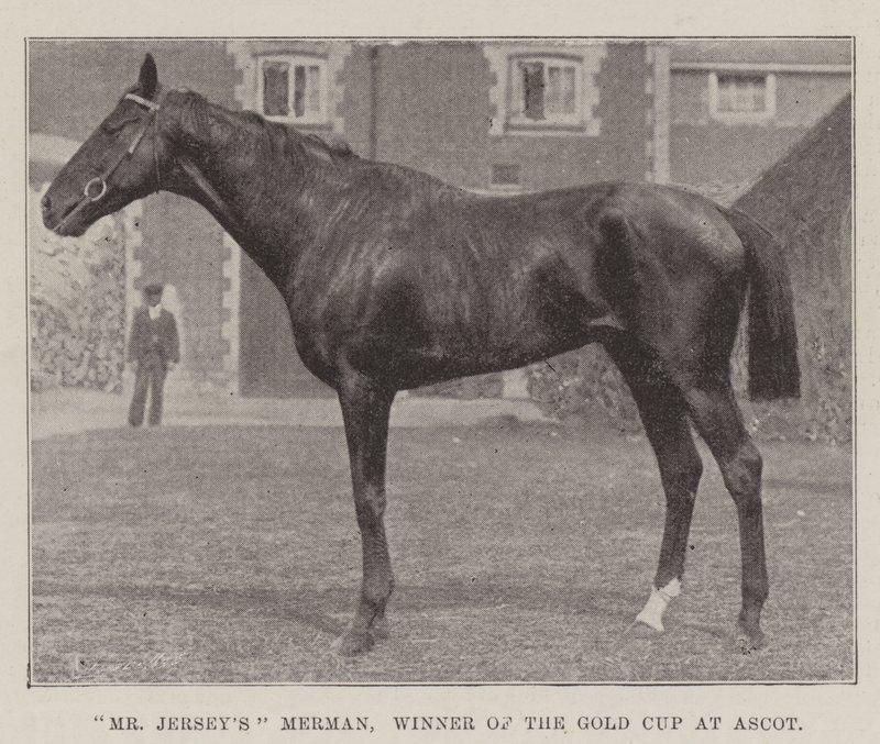 El Merman del Sr. Jersey, ganador de la Copa de Oro en Ascot de English Photographer