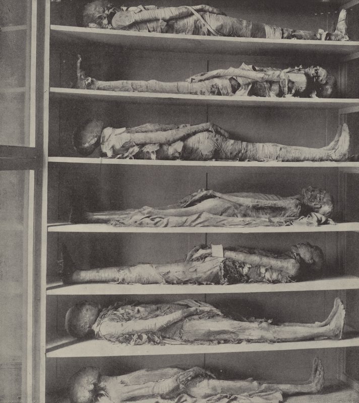 Momias de sacerdotes, Los cuerpos de sacerdotes embalsamados antes de que Aarón y sus hijos fueran nombrados de English Photographer