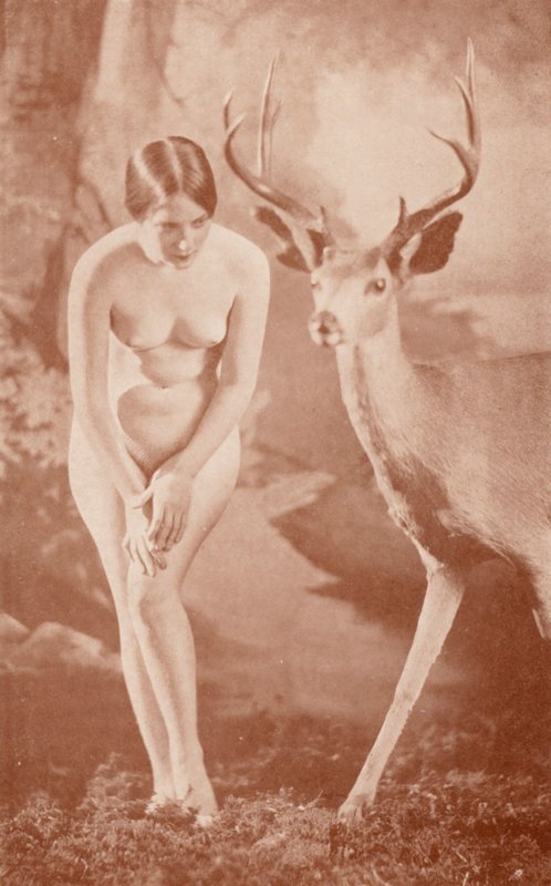 Arte nudista: Idilio en el bosque (foto b/n) de English Photographer