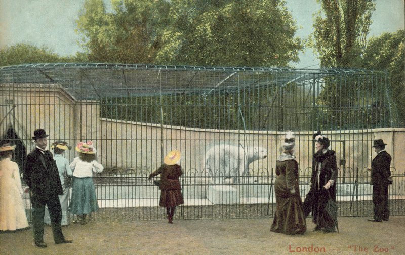 Personas visitando el recinto de osos polares en el Zoológico de Londres de English Photographer