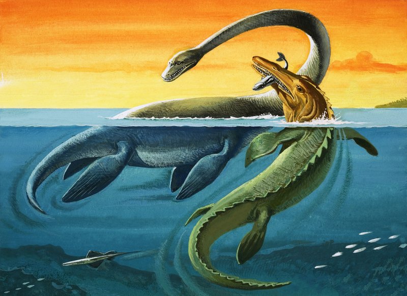 Criaturas prehistóricas en el océano (gouache sobre papel) de English Photographer