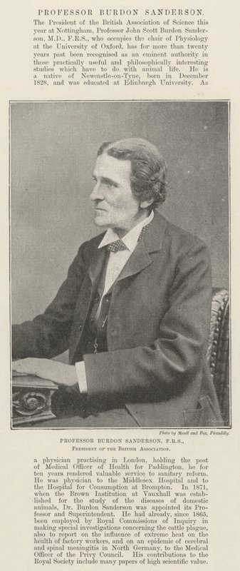 Profesor Burdon Sanderson, FRS, Presidente de la Asociación Británica de English Photographer