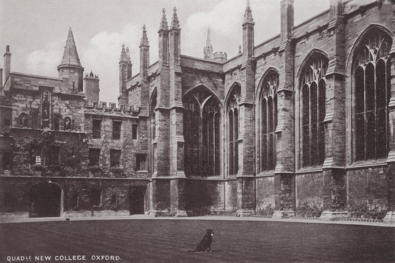 Cuadrángulo del New College, Oxford de English Photographer