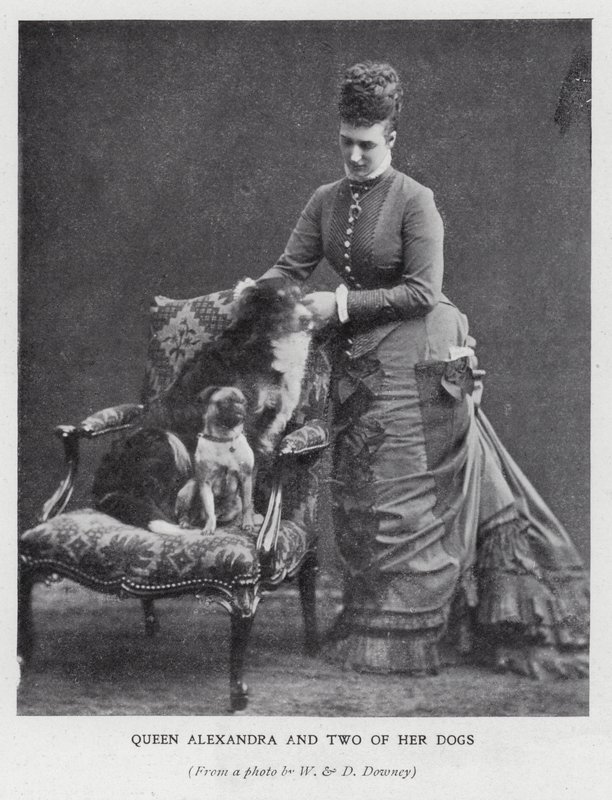Reina Alexandra y dos de sus perros de English Photographer
