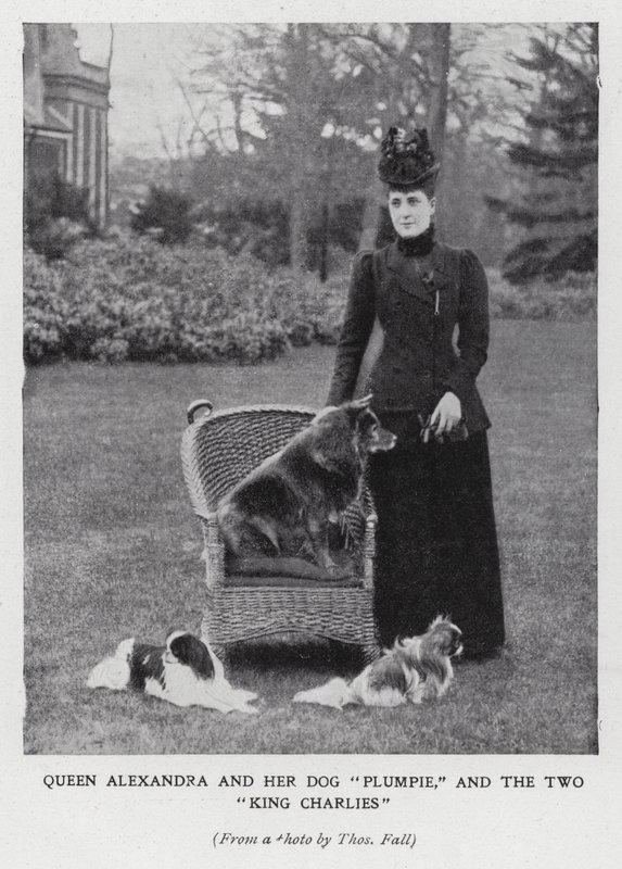 Reina Alexandra con su perro, Plumpie, y sus dos spaniels King Charles de English Photographer