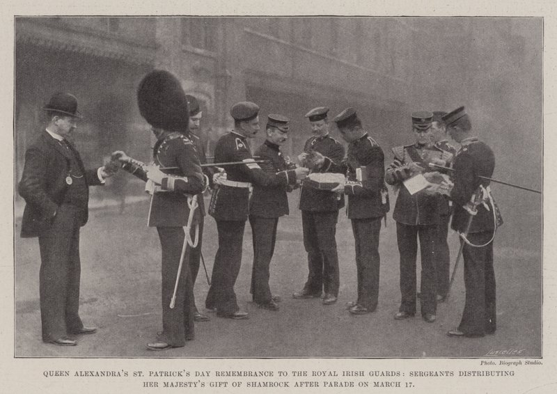Recuerdo del Día de San Patricio de la Reina Alexandra a los Guardias Reales Irlandeses, Sargentos Distribuyendo el Regalo de Trébol de Su Majestad después del Desfile el 17 de Marzo de English Photographer
