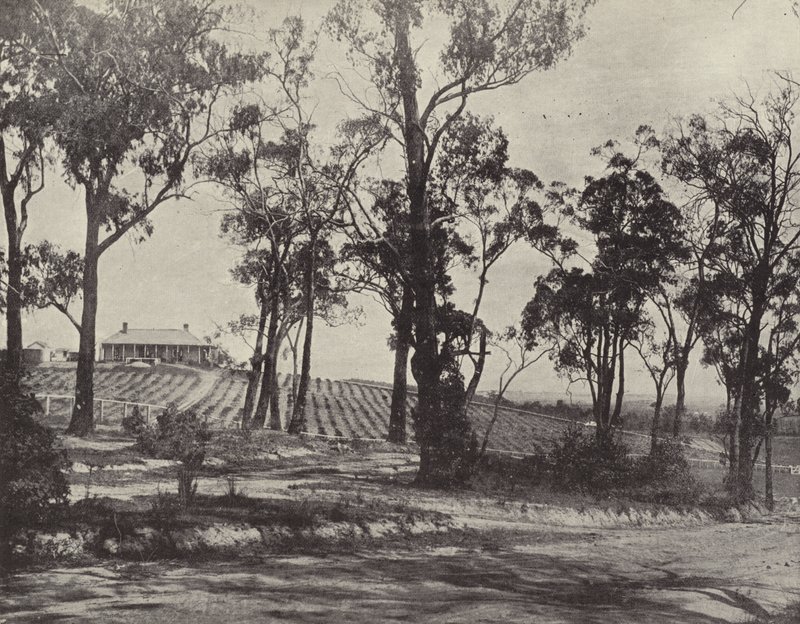 Escena en el camino de Gembrook, Victoria de English Photographer