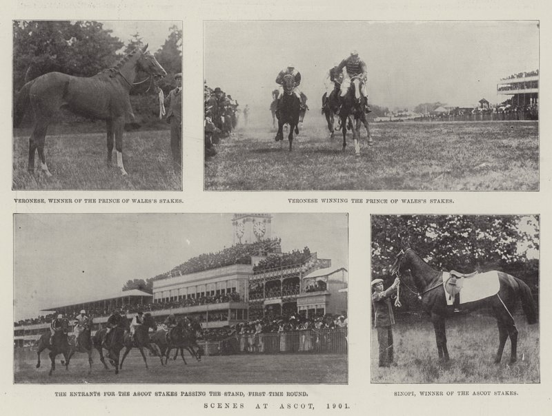 Escenas en Ascot, 1901 de English Photographer