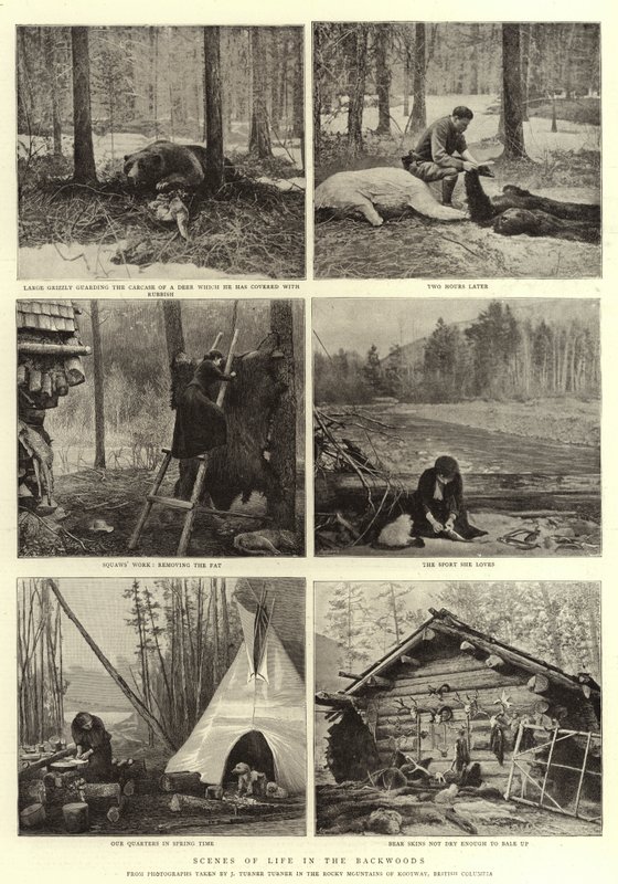 Escenas de la vida en el bosque de English Photographer