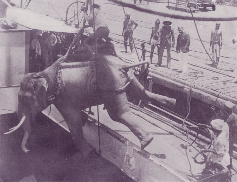 Embarcando un Elefante, Rangún de English Photographer