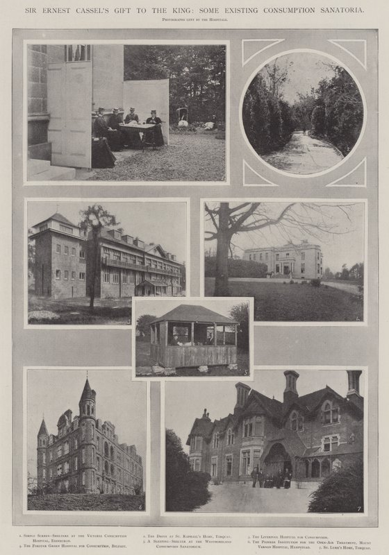 El Regalo de Sir Ernest Cassels al Rey, Algunos Sanatorios Existentes para la Tuberculosis de English Photographer