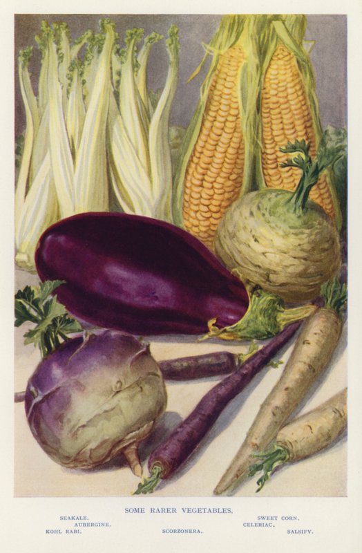 Algunas verduras más raras (foto) de English Photographer