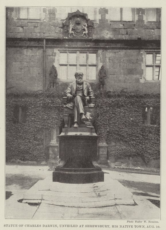 Estatua de Charles Darwin, develada en Shrewsbury, su Ciudad Natal, el 10 de Agosto de English Photographer