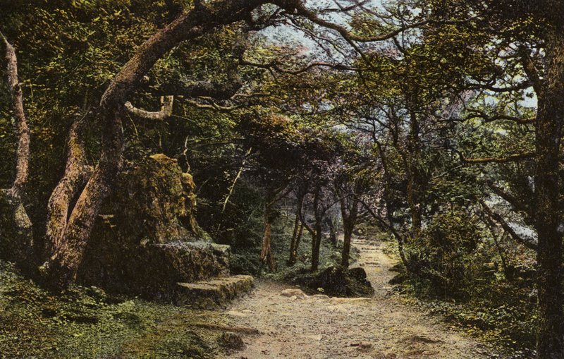 Asiento de Piedra, el Deslizamiento de Tierra de English Photographer