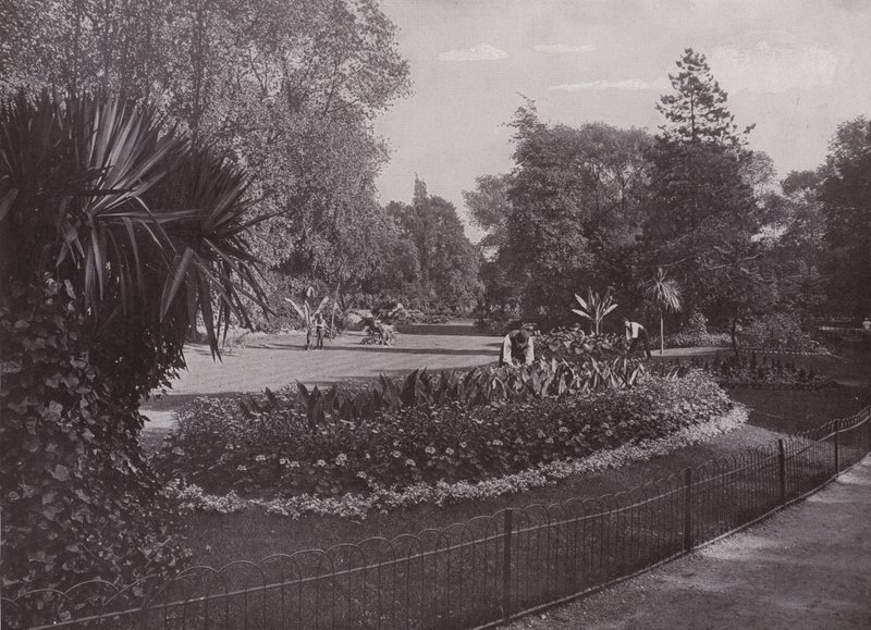Jardines Subtropicales, Parque Battersea de English Photographer