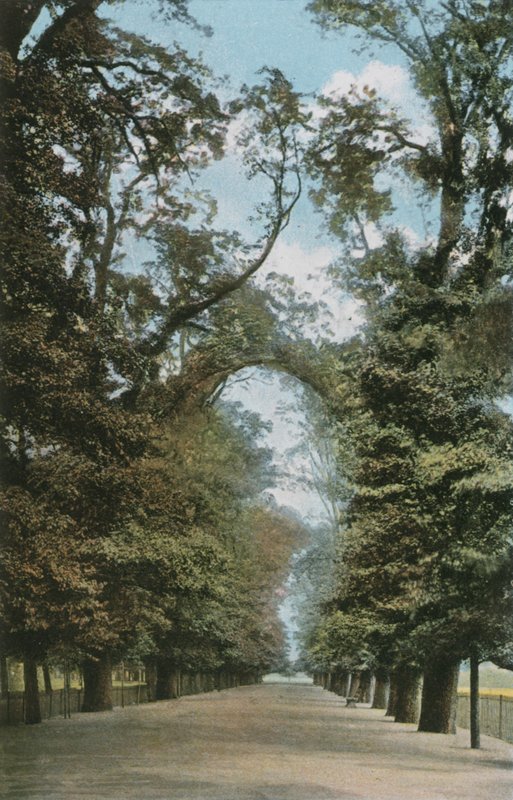 El Paseo Ancho de English Photographer