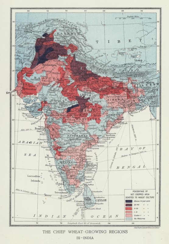 Las principales regiones productoras de trigo, India de English Photographer