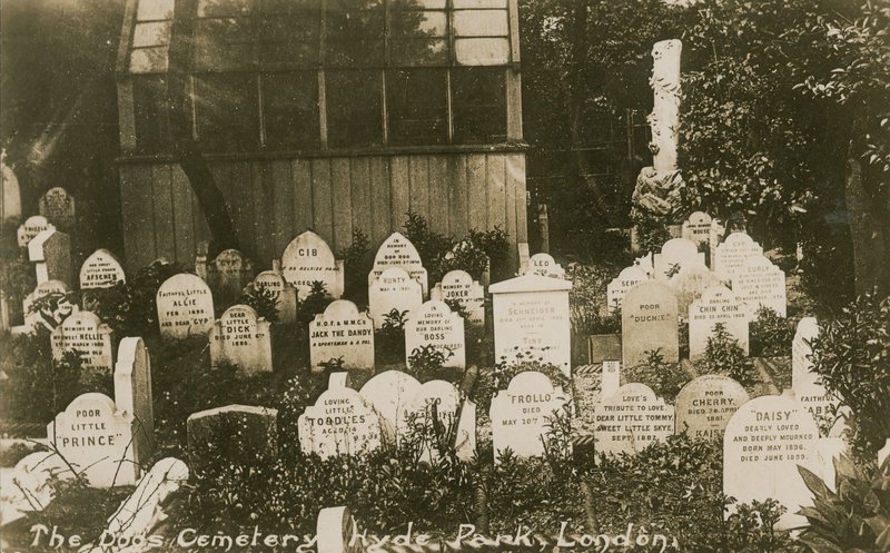 El Cementerio de Perros, Hyde Park, Londres de English Photographer