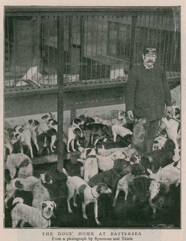 El hogar de los perros en Battersea de English Photographer