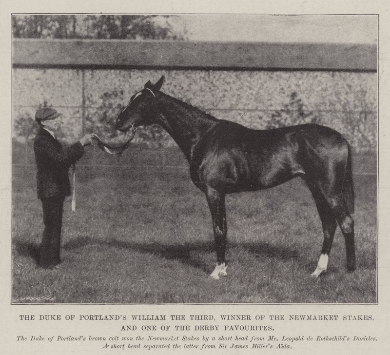 William el Tercero del Duque de Portland, Ganador de las Newmarket Stakes y uno de los Favoritos del Derby de English Photographer