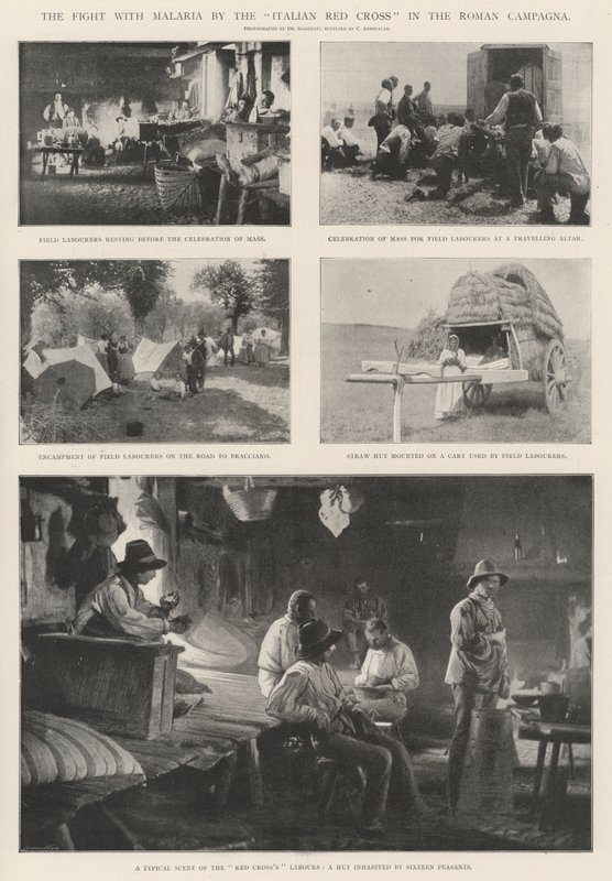 La lucha contra la malaria por la Cruz Roja Italiana en la Campagna Romana de English Photographer