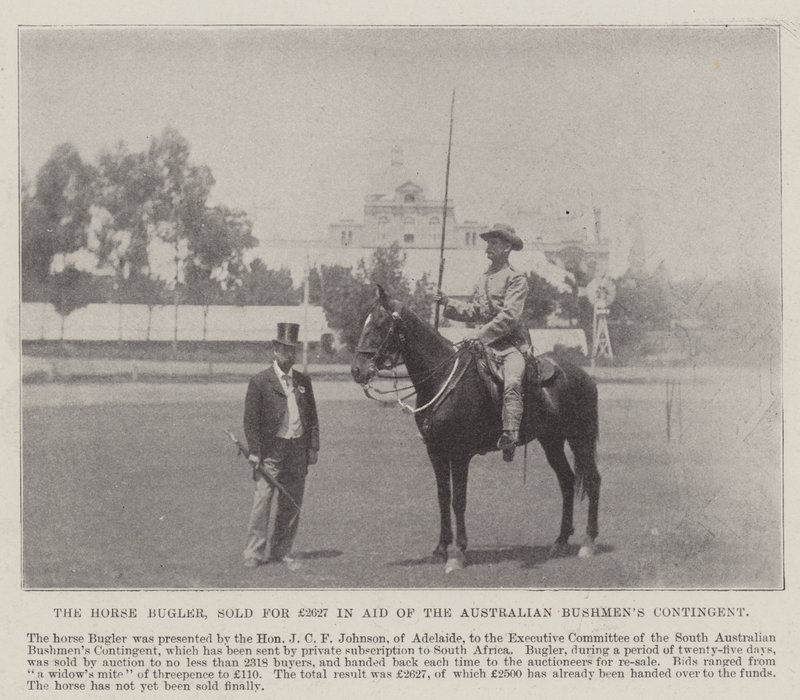 El trompeta de caballería, vendido por £2627 en ayuda del contingente de Bushmen australianos, Adelaide. Ilustración para The Illustrated London News, 26 de mayo de 1900 de English Photographer
