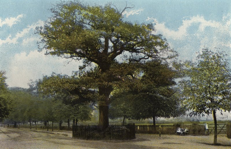 El Roble Midland, Leamington de English Photographer