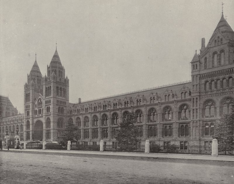 Museo de Historia Natural (foto en blanco y negro) de English Photographer