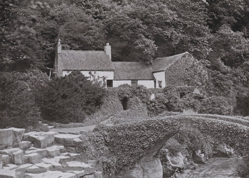 El Viejo Molino, Jesmond Dene de English Photographer