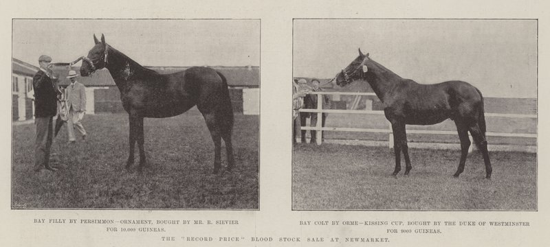 La venta de sangre de precio récord en Newmarket de English Photographer