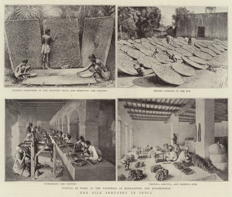La industria de la seda en India de English Photographer