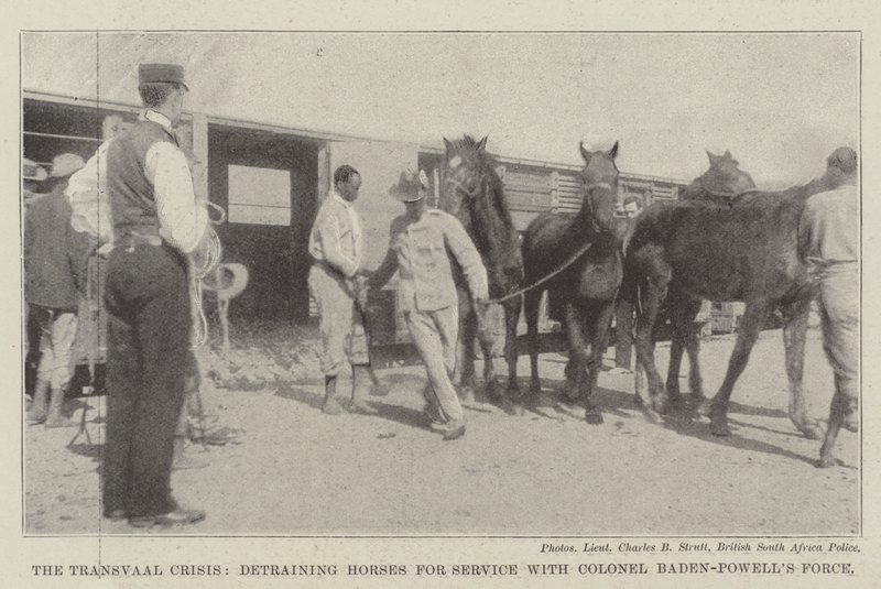 La Crisis del Transvaal, descargando Caballos para el Servicio con la Fuerza del Coronel Baden-Powell de English Photographer