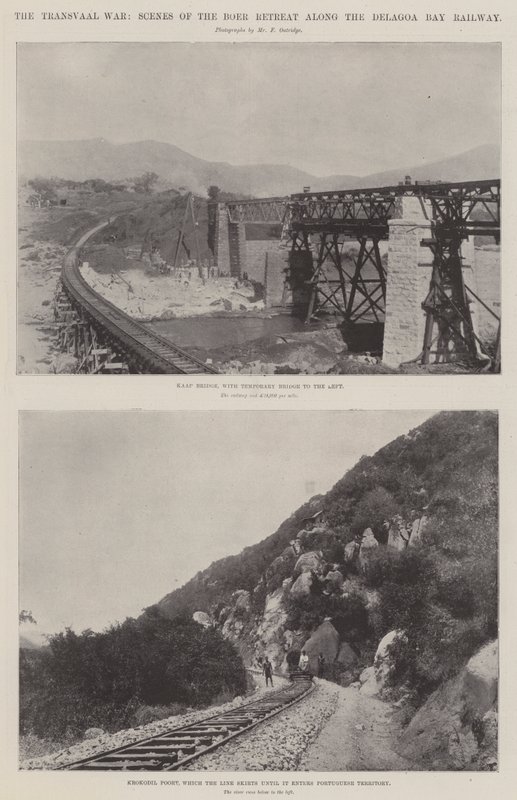 La guerra del Transvaal, escenas de la retirada de los Boers a lo largo del ferrocarril de la bahía de Delagoa de English Photographer