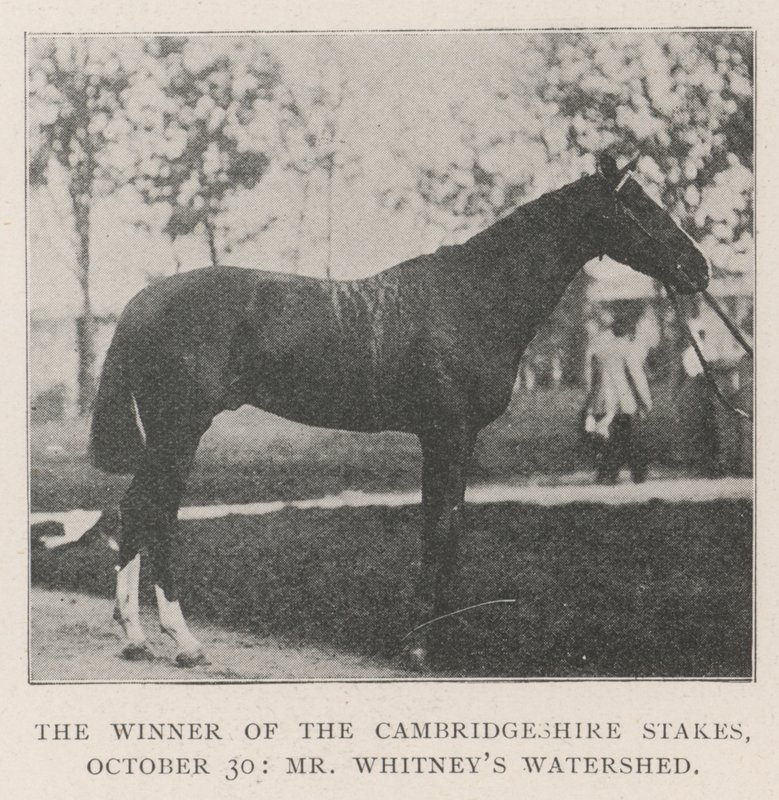 El ganador de las apuestas de Cambridgeshire, 30 de octubre, Watershed de Mr. Whitney de English Photographer