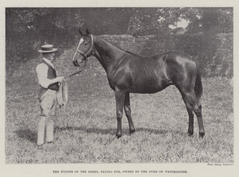 El ganador del Derby, Flying Fox, propiedad del Duque de Westminster de English Photographer