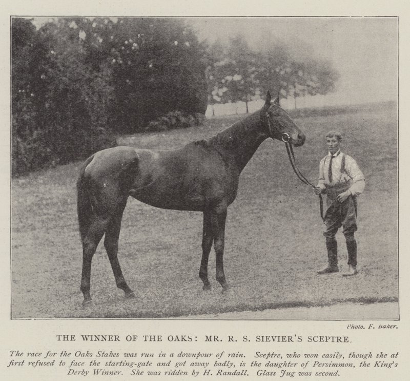 El ganador de los Oaks, el Sceptre de Mr. R S Sievier de English Photographer